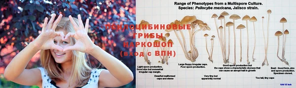 мет Балахна