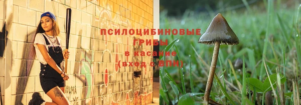 мет Балахна