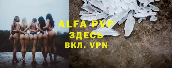 мяу мяу мука Баксан