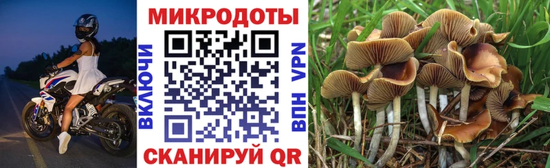 наркотики  это Telegram  Галлюциногенные грибы Psilocybine cubensis  Нижнеудинск  мега tor 